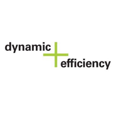 Image de l'option dynamic Efficiency